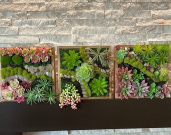 Succulent Wall Art Etsy