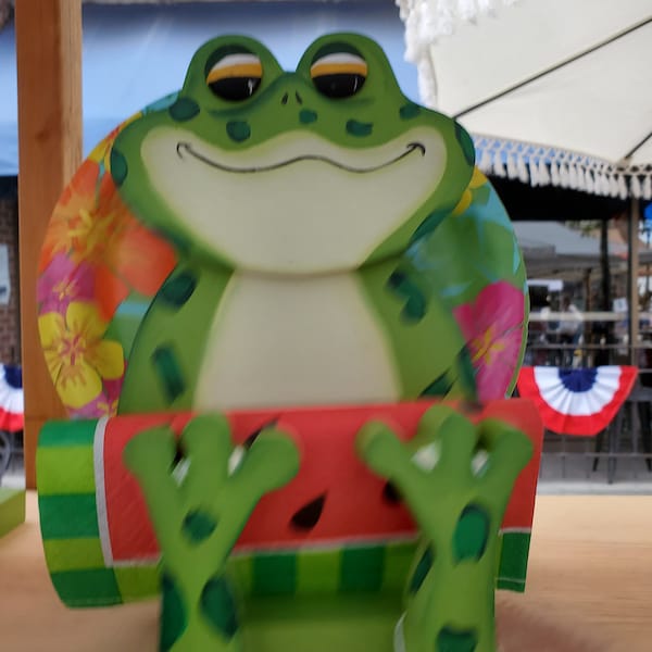 Frog Paper Plate and Napkin Holder