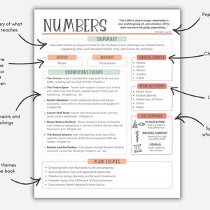 Bibelstudieguide för kvinnor, utskrivbar bibelstudieguide för reflektion, digital dagbok med boksammanfattningar bild 5