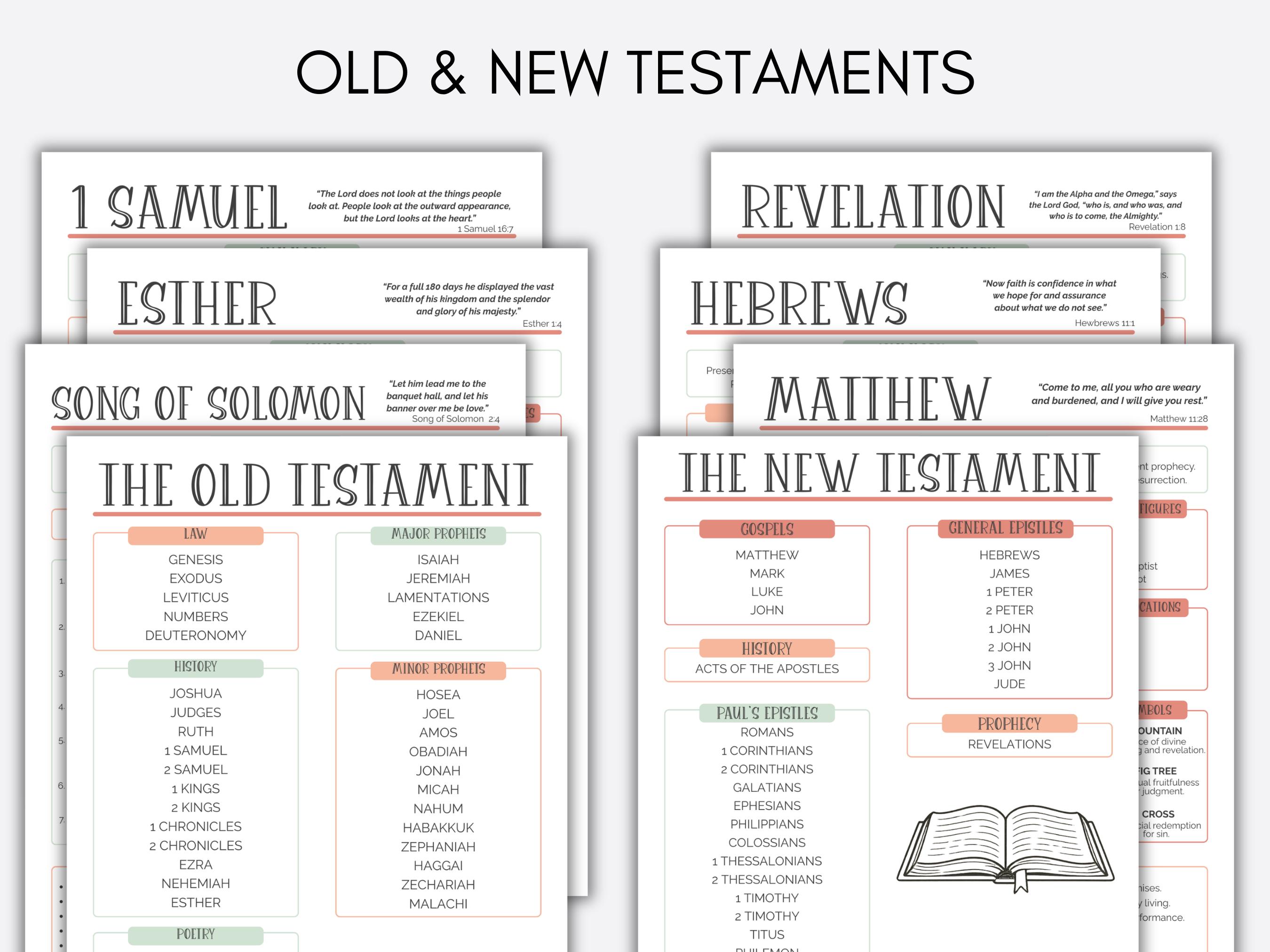Womens Bible Study Guide, Printable Bible Study Guide for Reflection ...