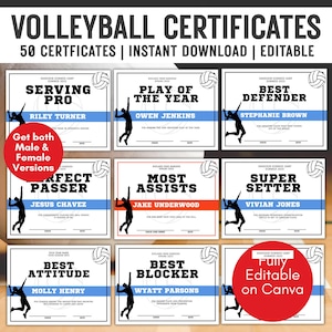 Editable Volleyball Award Certificates, End of Season Sports Certificates, Printable Volleyball Team Awards, Customizable Award Templates
