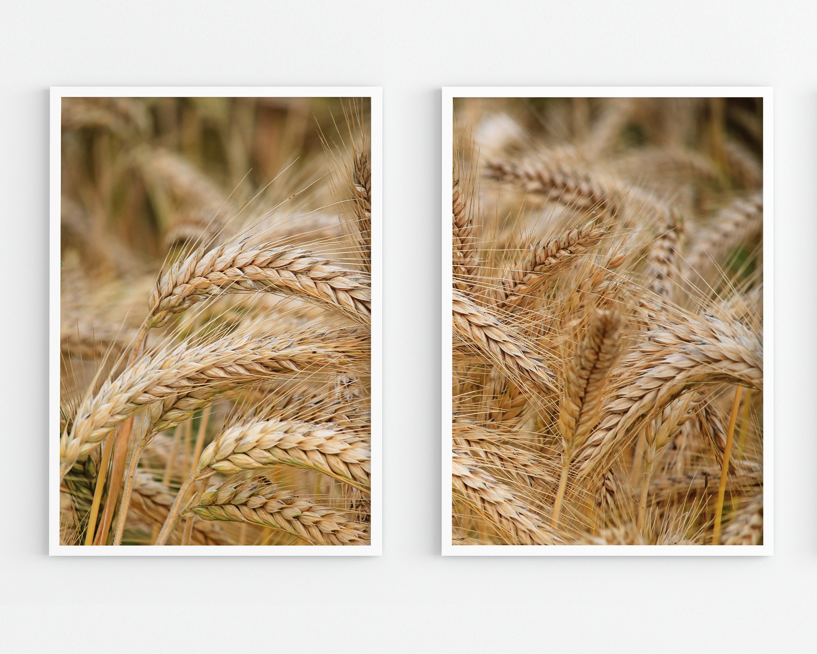 Set of 2 Dry Wheat Wall Art Rustic Floral Botanical Art | Etsy