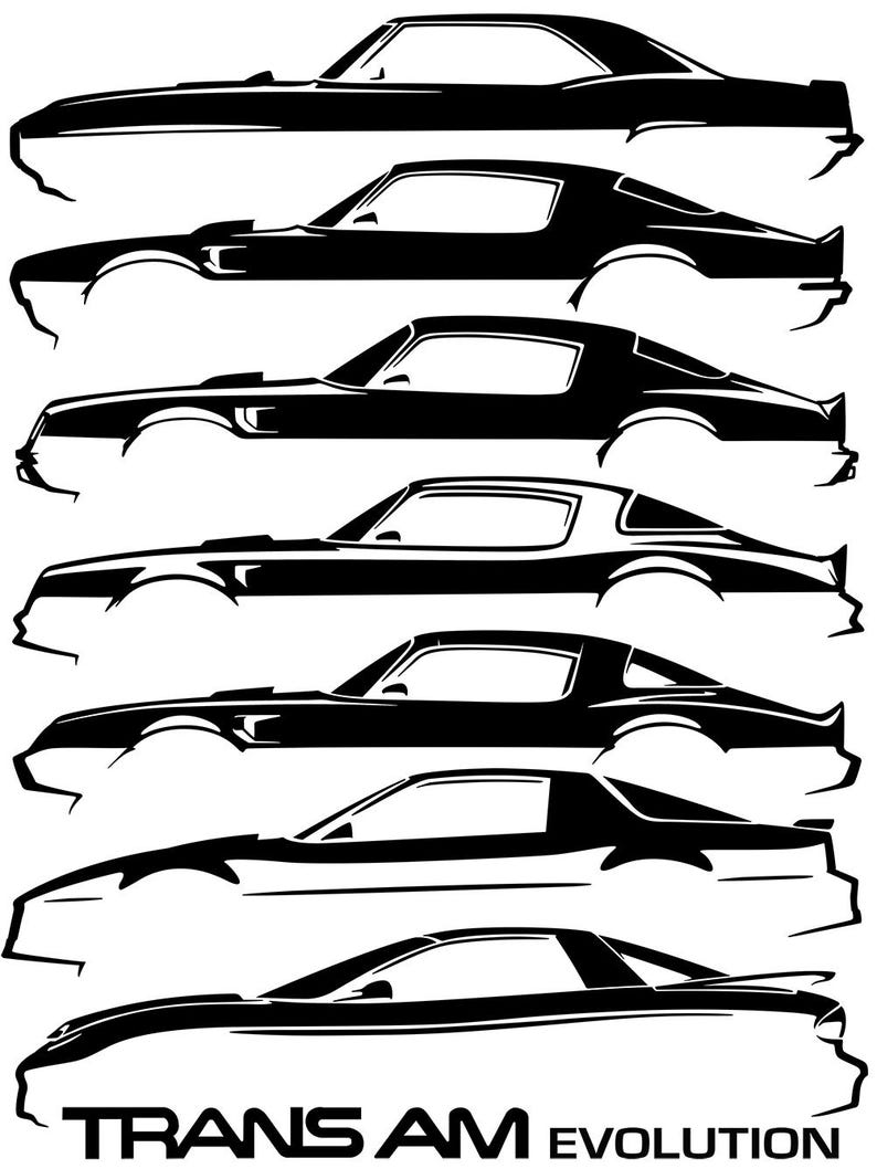 1969-02 Trans Am Firebird Evolution Design - Etsy