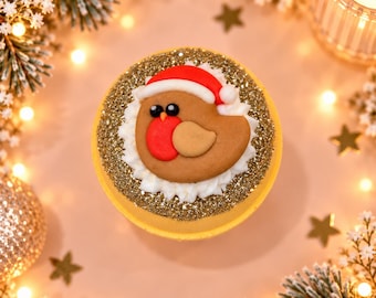 Christmas Robin Bath Bomb | Christmas Bath Bomb | Bath Bomb | Gift | Kids Bath Bomb | Christmas | Gift | Christmas Gift | Treat | Christmas