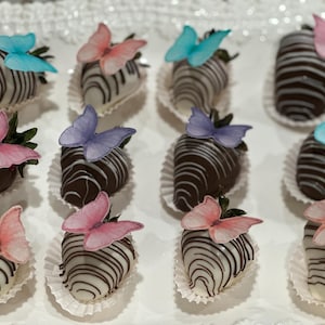 Chocolate Covered Strawberries -sold by the dozen - no shipping on this item