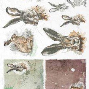 Könnte beinhalten: Ein Blatt Papier mit mehreren Bildern von Kaninchen in verschiedenen Posen. Die Kaninchen sind in einem realistischen Stil mit braunem und grauem Fell gezeichnet. Der Hintergrund ist hellgrau mit Farbstichen.