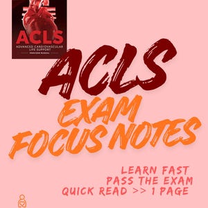 Puede incluir: Un juego de tres tazas de cerámica con un esmalte moteado de color crema. Cada taza presenta un diseño pintado a mano diferente: una hoja azul y verde, una flor amarilla y una baya roja. Las tazas tienen un diseño simple y moderno.