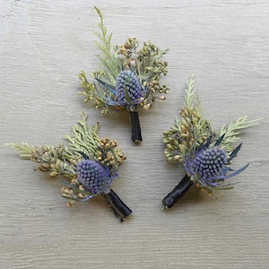 Dry flowers Boutonniere/ Blue Thistle Boutonniere/Dried flowers bouquet for Groomsmen/Groomsmen/succulent boutonniere/wedding/Party