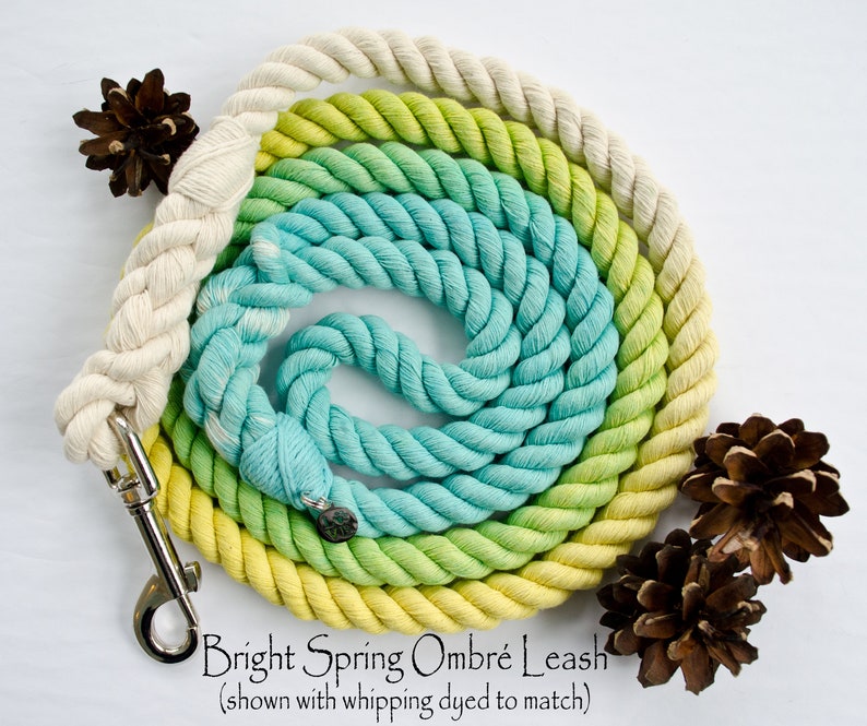 Bright Spring Ombr\u00e9 Cotton Rope Leash