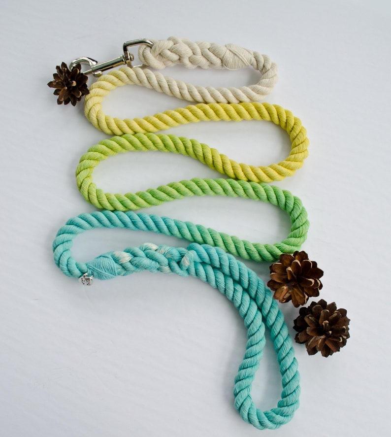Bright Spring Ombr\u00e9 Cotton Rope Leash