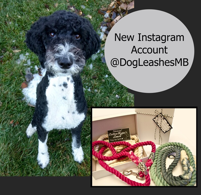 Bright Spring Ombr\u00e9 Cotton Rope Leash