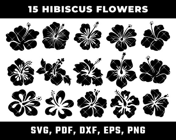 Hawaii Flower Svg Hibiscus Stencil Floral SVG Hibiscus | Etsy Canada