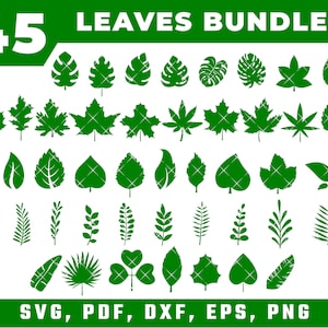 SVG tropical leaves svg | monstera leaf svg clipart | commercial use svg | jungle leaves clipart | palm branch svg | tropical party decor