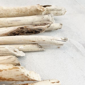 Driftwood Beaver Sticks Bundle (15) - Macrame Hanger - Driftwood Hanging Sticks - DIY Driftwood - Driftwood Art - Beaver Sticks - Sticks