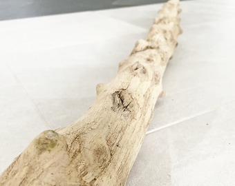 Driftwood Sculpture - Driftwood Art - Driftwood Decor - Natural Art - Unique Home Decor - Driftwood Branch - Light Driftwood - Unique Wood