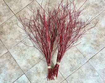 Red Dogwood Branches - Dogwood Sticks - Native Dogwood Bundle - DIY Arrangements - Winter Dogwood - Dogwood Twigs - Red Osier Dogwood
