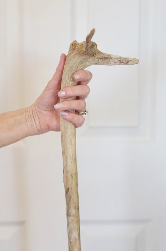 Large Driftwood 137cm Driftwood Branch Walking Stick Etsy