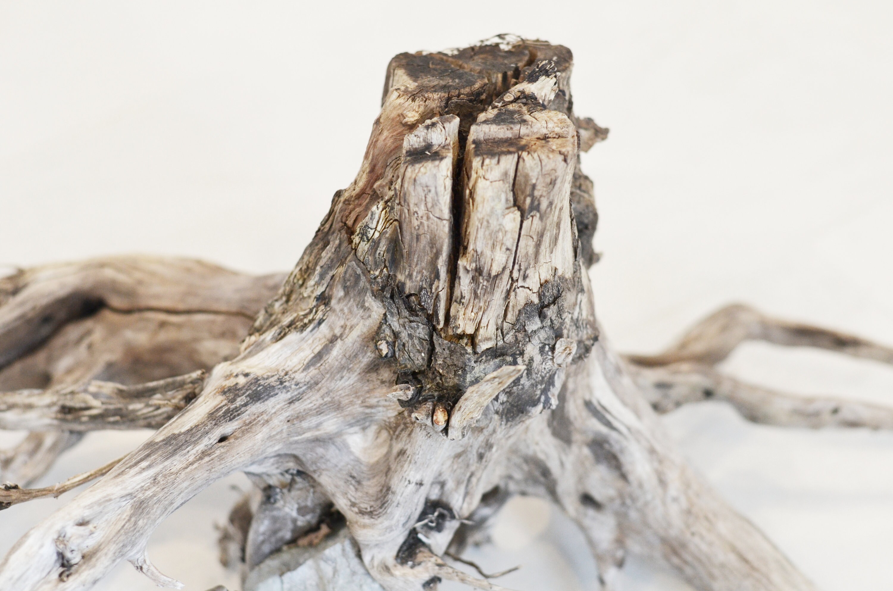 Driftwood Stump Driftwood Decor Driftwood Tree Driftwood Etsy