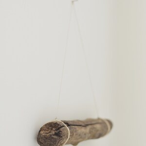 May include: A piece of driftwood is hanging from a nail on a white wall. The driftwood is tied with twine and is a natural brown color.
