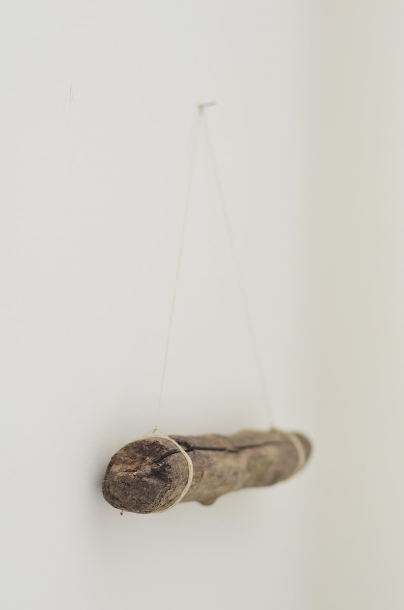 May include: A piece of driftwood is hanging from a nail on a white wall. The driftwood is tied with twine and is a natural brown color.