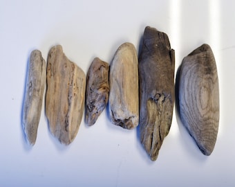 Natural Driftwood (6pc) - Driftwood Art - Driftwood Crafts - Driftwood Branch - Driftwood Decor - DIY Driftwood - Authentic Wood