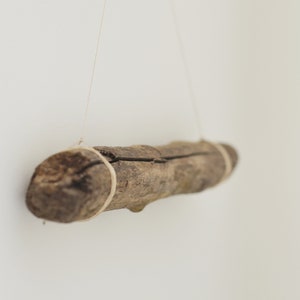 May include: A piece of driftwood is hanging from the ceiling with twine. The driftwood is brown and has a natural, rough texture.