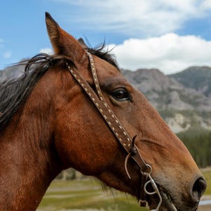 Wrangler Roughout Split Ear Headstall- White Buckstitch