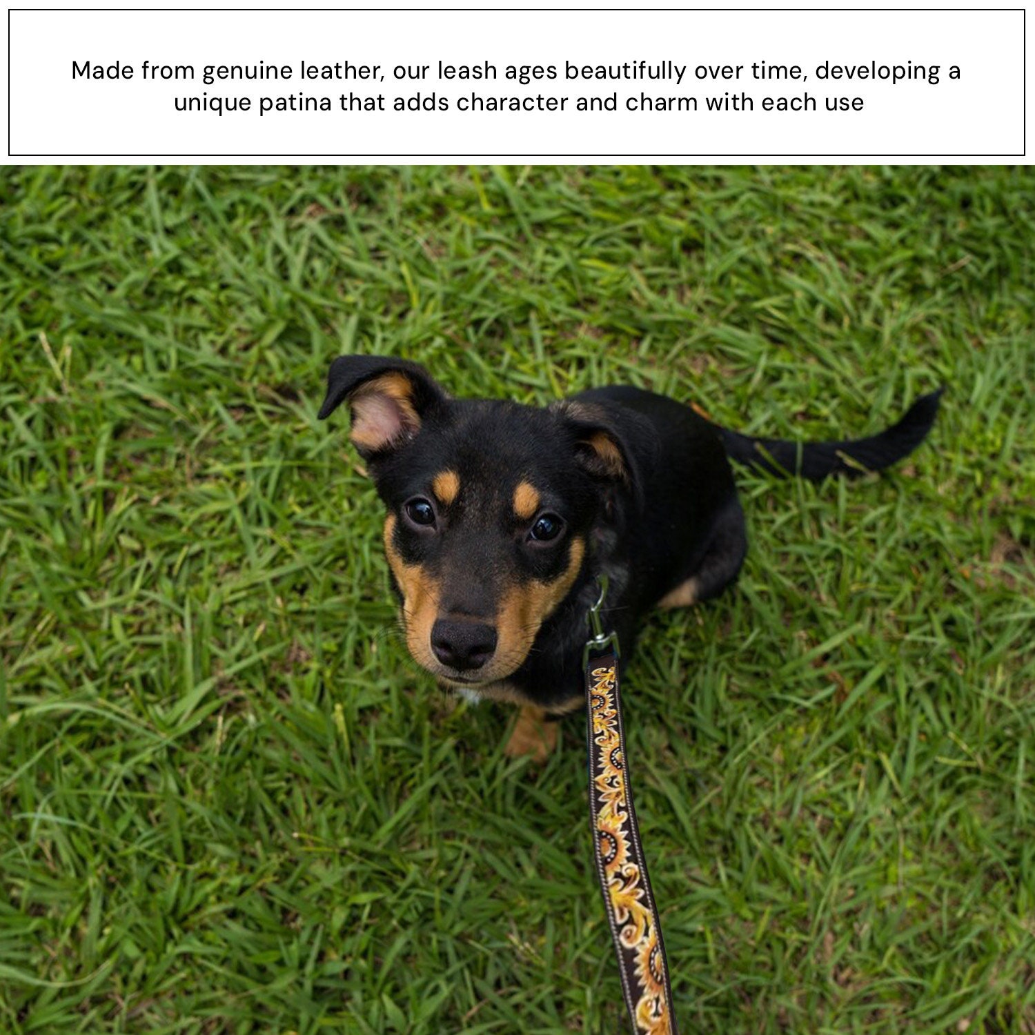 黄色のひまわり柄のレザー製犬用首輪、黄色の花柄ペット用首輪、快適