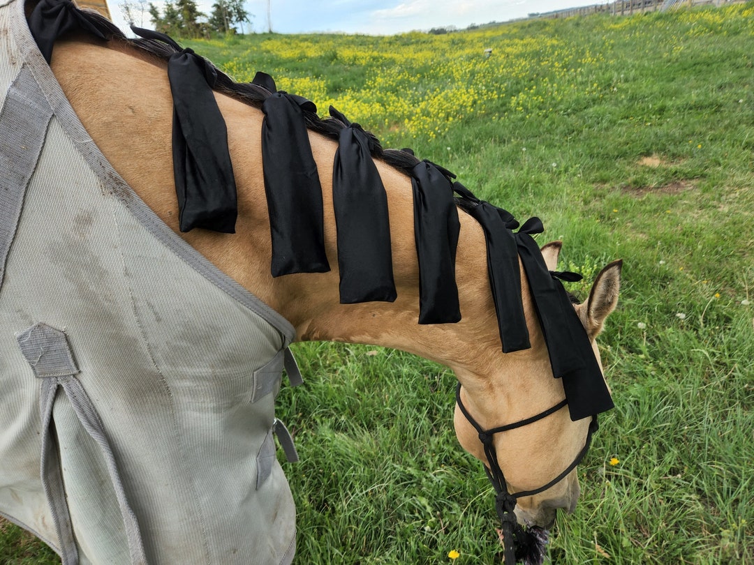 Horse Mane Bags Lycra Mane Bags to Protect Your Horses Mane Mane Socks