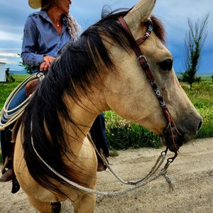 Blue Rodeo - Beaded - One Ear Headstall