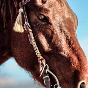 Cheetah Sliding One Ear Headstall- Cheetah Print Beaded Bridle