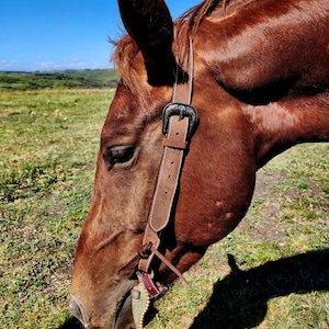 Vaquero- Chocolate Roughout - Split Ear Headstall - Western Headstall - Western Bridle- Leather Horse Tack - Ranch Hand Premium Leather