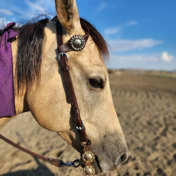 New! One ear headstall with painted feather design main image 0