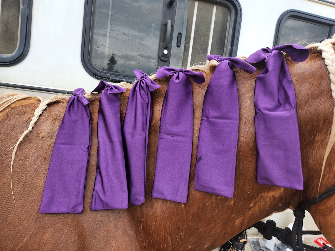 Mane Bags Lycra Mane Bags to Protect Your Horses Mane Mane Socks Horse