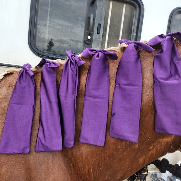 Mane Bags- Lycra Mane Bags to protect your horses mane- Mane Socks- Horse Grow long mane - Horse Hair Protector - Black Purple Blue Green