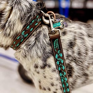 Leather Dog Collar- Turquoise Buckstitch Dog Collar - Handmade Western Leather Dog Collar - Premium Full-Grain, Durable & Stylish Design