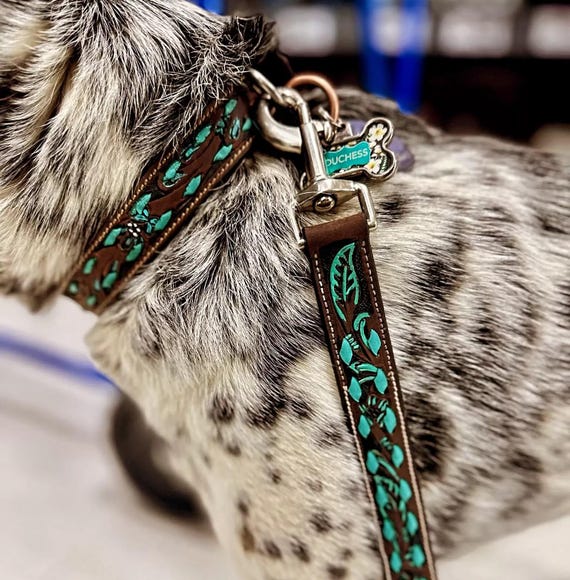 Leather Dog Collar- Turquoise Buckstitch Dog Collar Handmade