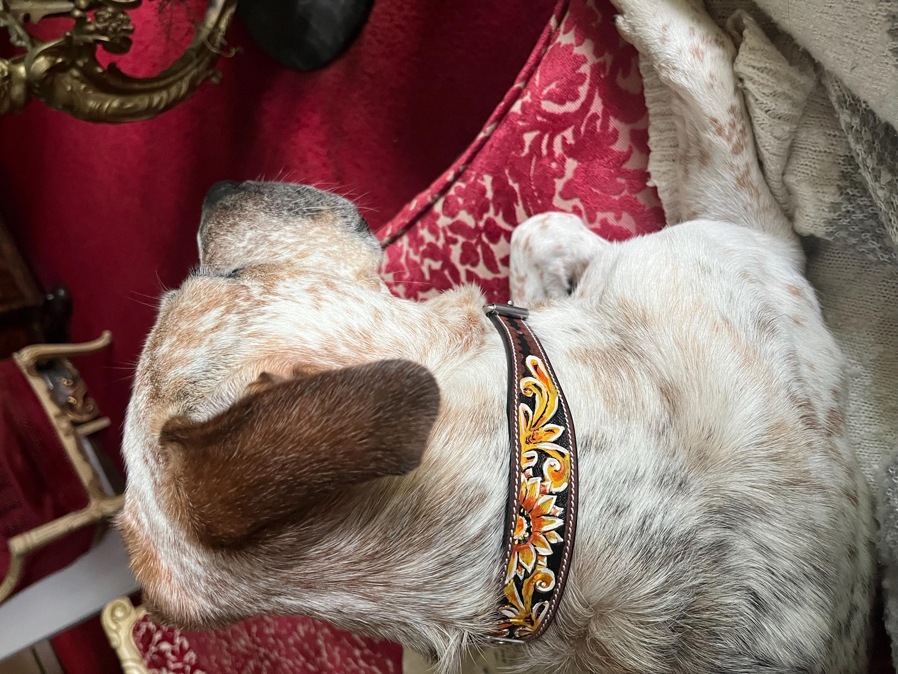 黄色のひまわり柄のレザー製犬用首輪、黄色の花柄ペット用首輪、快適