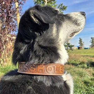 A**HOLE Leather Dog Collar, Funny Gift for dog, Bad Dog Collar, Comfortable Dog Collar, Funny Dog Collars, Genuine Leather