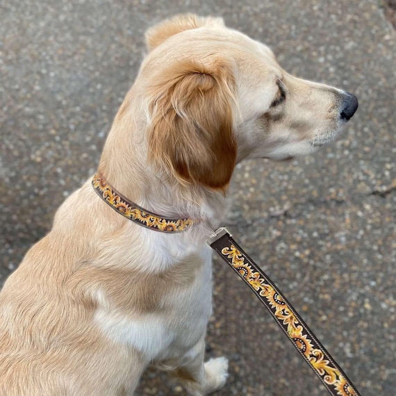 Leather Leash- Yellow Sunflower