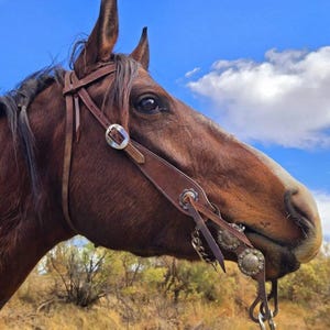 Vaquero Roughout Leather- Browband Headstall- Western Bridle - Western Headstall - Western Bridle- Leather Horse Tack - Ranch Hand Premium