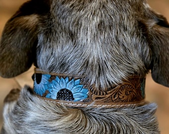 Prairie Blue Leather Dog Collar | Hand-Painted Western Style Pet Collar- Ranch Hand Premium Collars