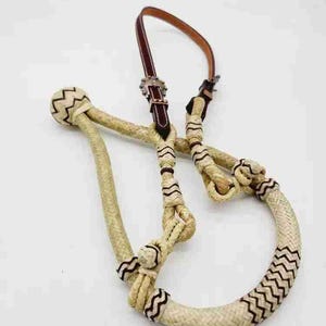 Leather Show Stopper Headstall + Rawhide Braided Bosal