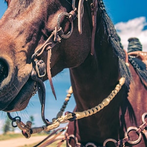 Rawhide Romel Reins- Rolled Leather with Natural Buttons - Western Headstall - Western Bridle- Leather Horse Tack - Ranch Hand Premium