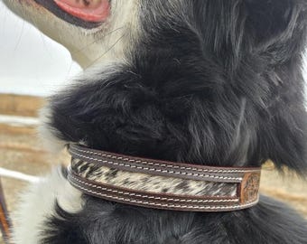 Leather Dog Collar- Hair On Cowhide - Western Dog Collar - Handmade Western Leather Dog Collar - Premium Full-Grain, Durable & Stylish