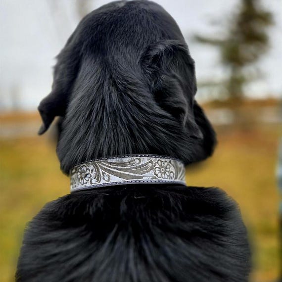 Leather Dog Collar- Ink and Ivory Western Dog Collar Handmade