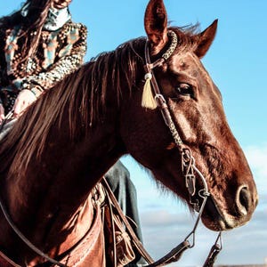 Cheetah One Ear Headstall- Cheetah Print Beaded Western Bridle Short Cheek