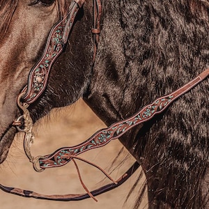 May include: Close-up of a horse's head with a brown leather bridle. The bridle features intricate turquoise and red floral designs. The horse has dark brown fur and is set against a blurred background.