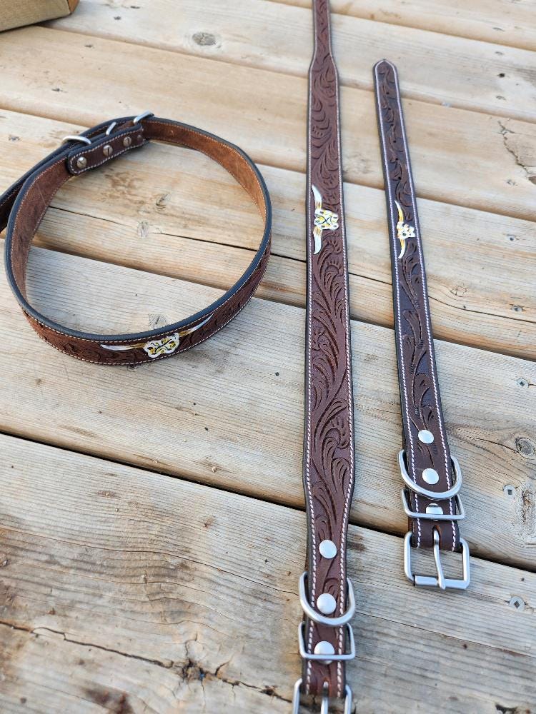 Cow Skull Dog Collar, Leather Bull Head, Longhorn Skull, Rodeo Western Hand Painted Tooled, Pet Collar