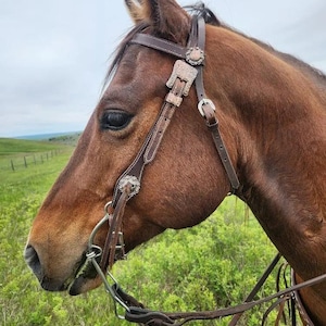 Classic Rose- Browband Headstall